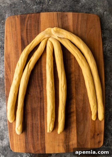 Six dough ropes arranged in three groups of two, pinched at one end.