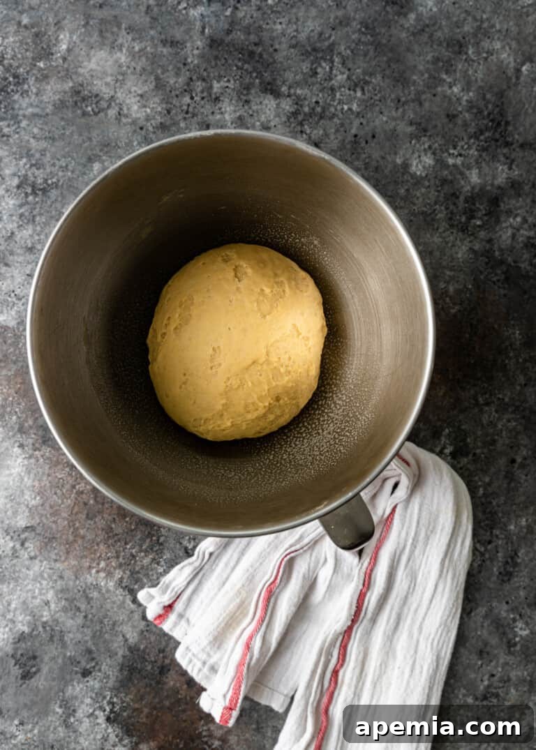 Process shot showing the well-kneaded Challah dough, smooth and elastic, in a mixing bowl.