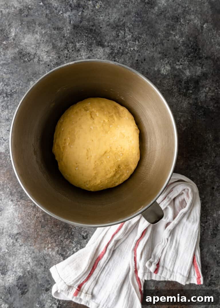 Process shot of the Challah dough during its first rise, significantly expanded and airy in a bowl.