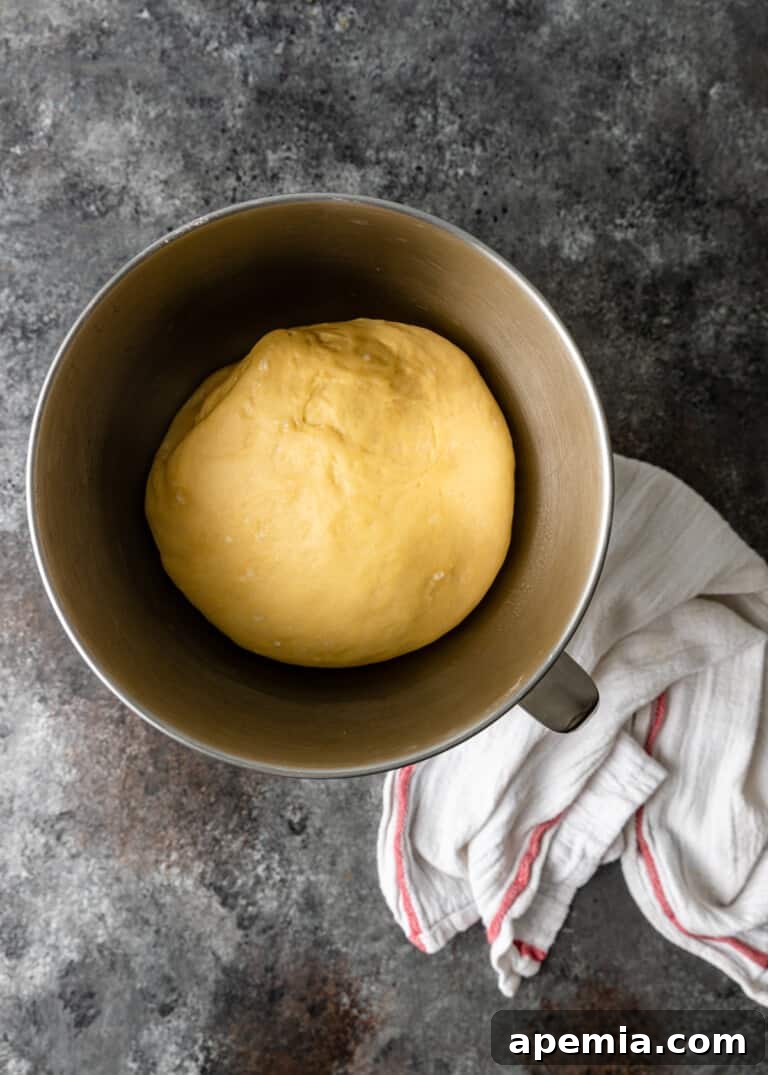 Process shot of the Challah dough after its second rise, showing increased volume and readiness for braiding.