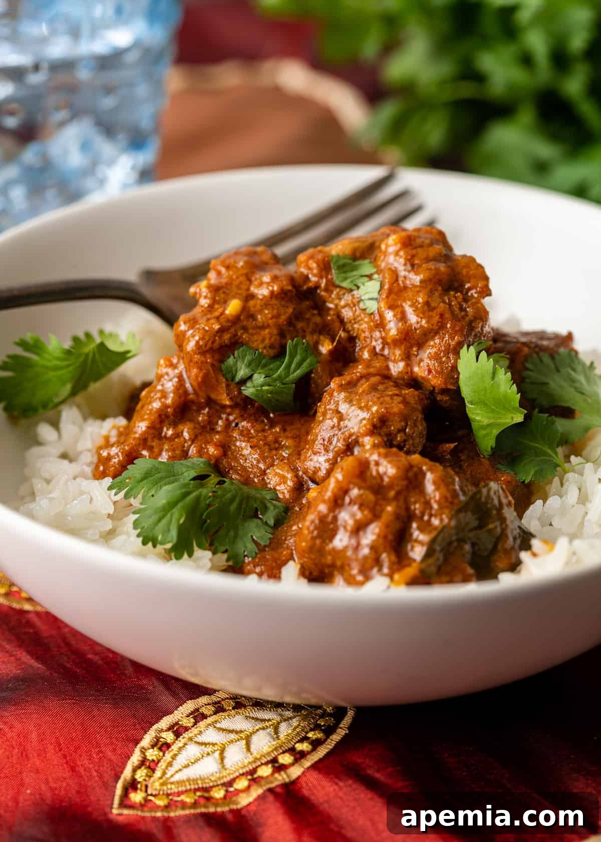 Zesty Goan Lamb Vindaloo 11 close up side view: bowl filled with lamb vindaloo on bed of rice