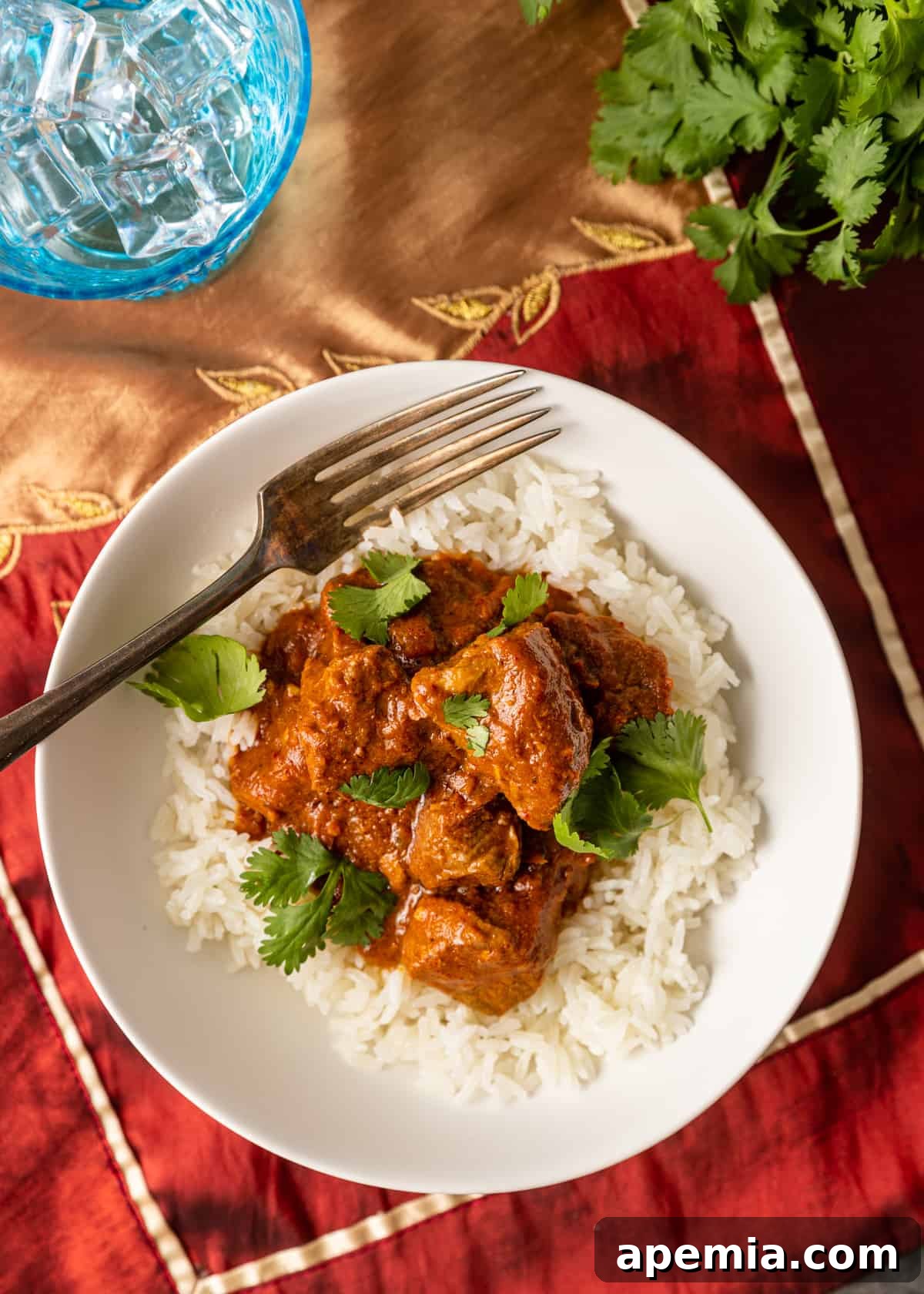 Zesty Goan Lamb Vindaloo 12 overhead: plate of lamb vindaloo recipe on bed of rice sitting on red tablecloth