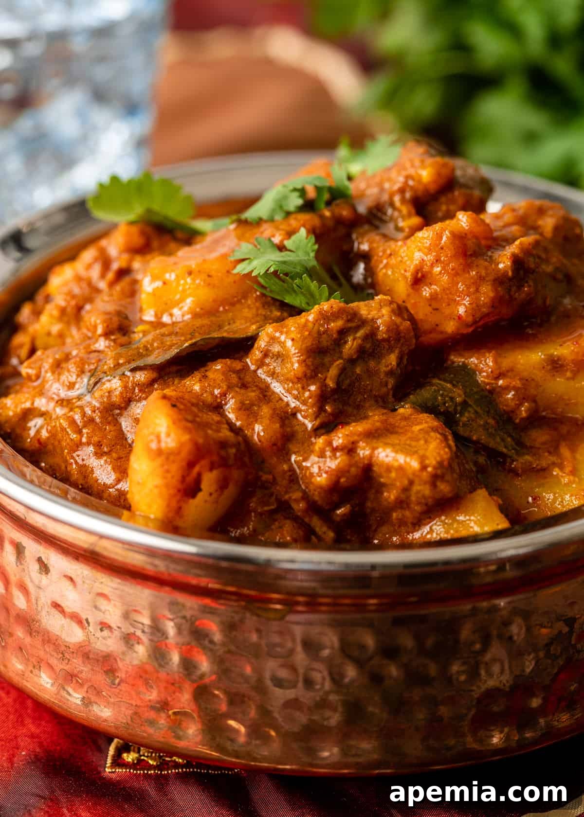 Zesty Goan Lamb Vindaloo 13 closet up side view: copper dish with lamb vindaloo sprinkled with chopped cilantro