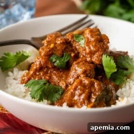 Lamb or Pork Vindaloo Curry
