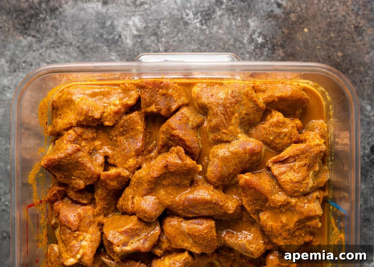 Zesty Goan Lamb Vindaloo 7 overhead: marinating lamb for 2 hours