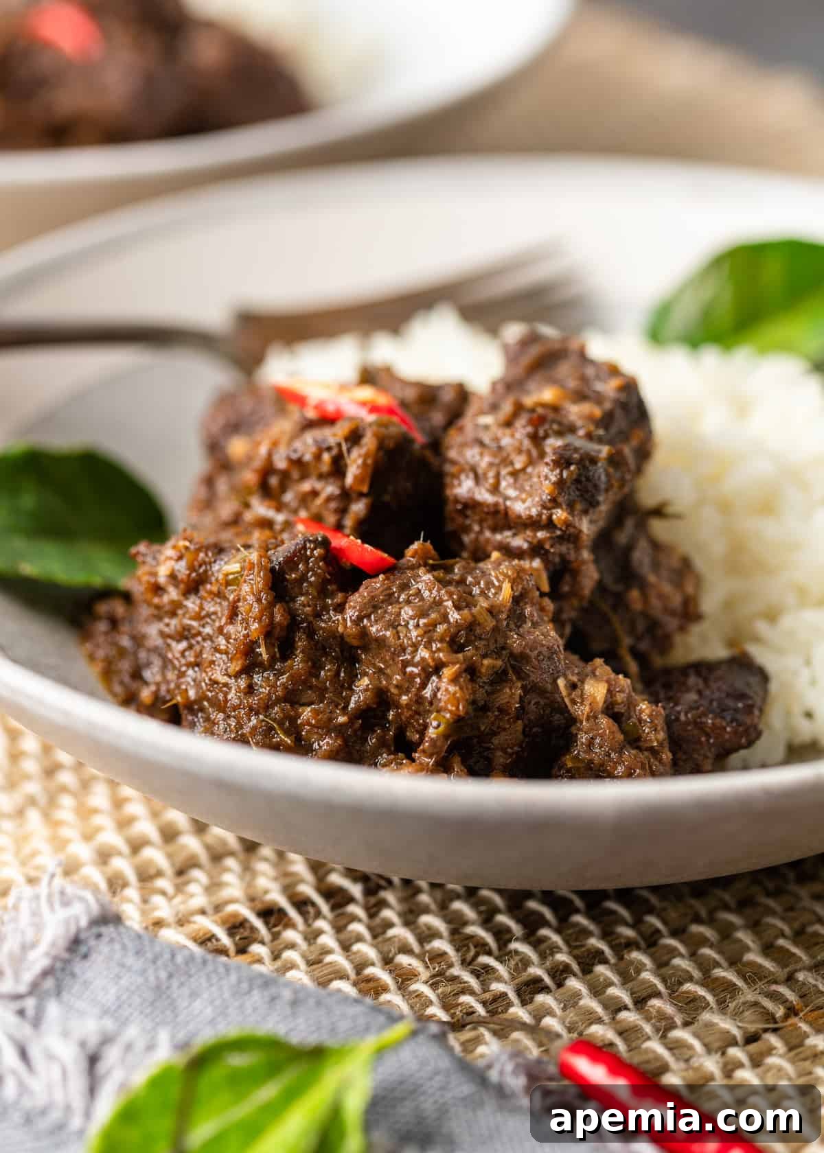 Closeup side view of tender Beef Rendang on a white plate with a side of white rice, emphasizing its rich texture and appealing presentation.