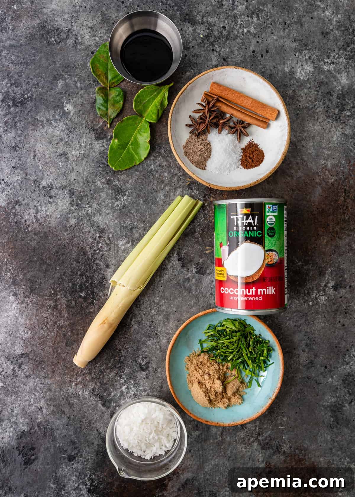 Overhead view of a beautiful array of all the necessary ingredients, artfully arranged and ready for the preparation of Beef Rendang.
