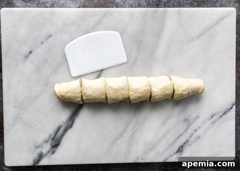 overhead process shot: cutting the rolled dough into 6 equal pieces