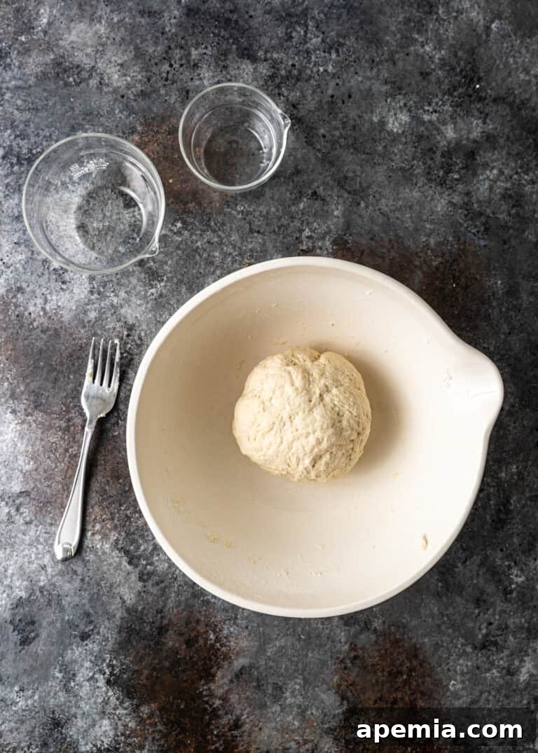 overhead: dough ball in a bowl, after kneading and resting