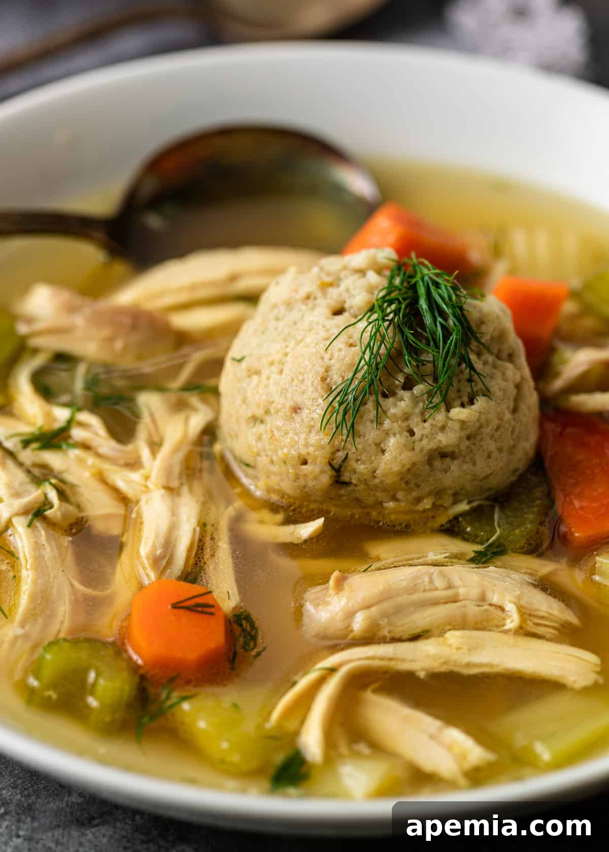 closeup side view: white bowl of Jewish penicillin with spoon