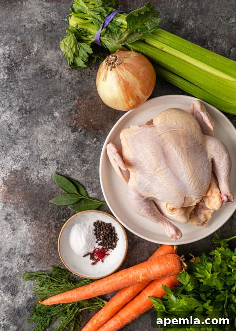 overhead process shot: ingredients needed to make the matzo ball soup recipe