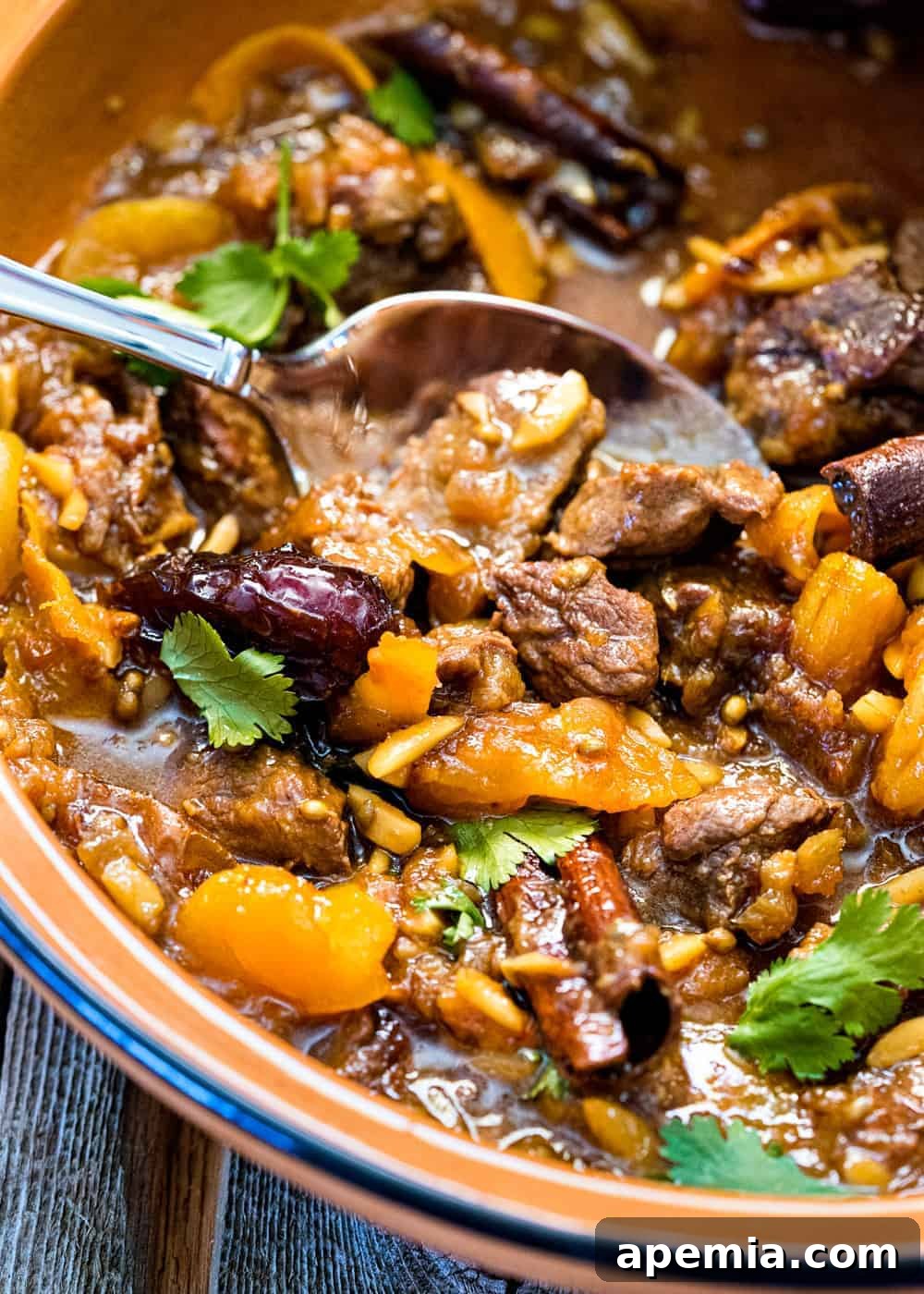 closeup: my lamb tagine recipe in bowl with a spoon
