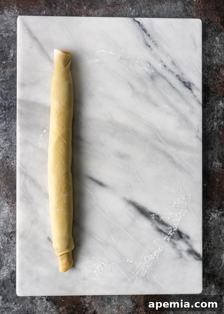 Overhead process shot: Chocolate babka dough rolled into a long, neat log, ready for slicing.