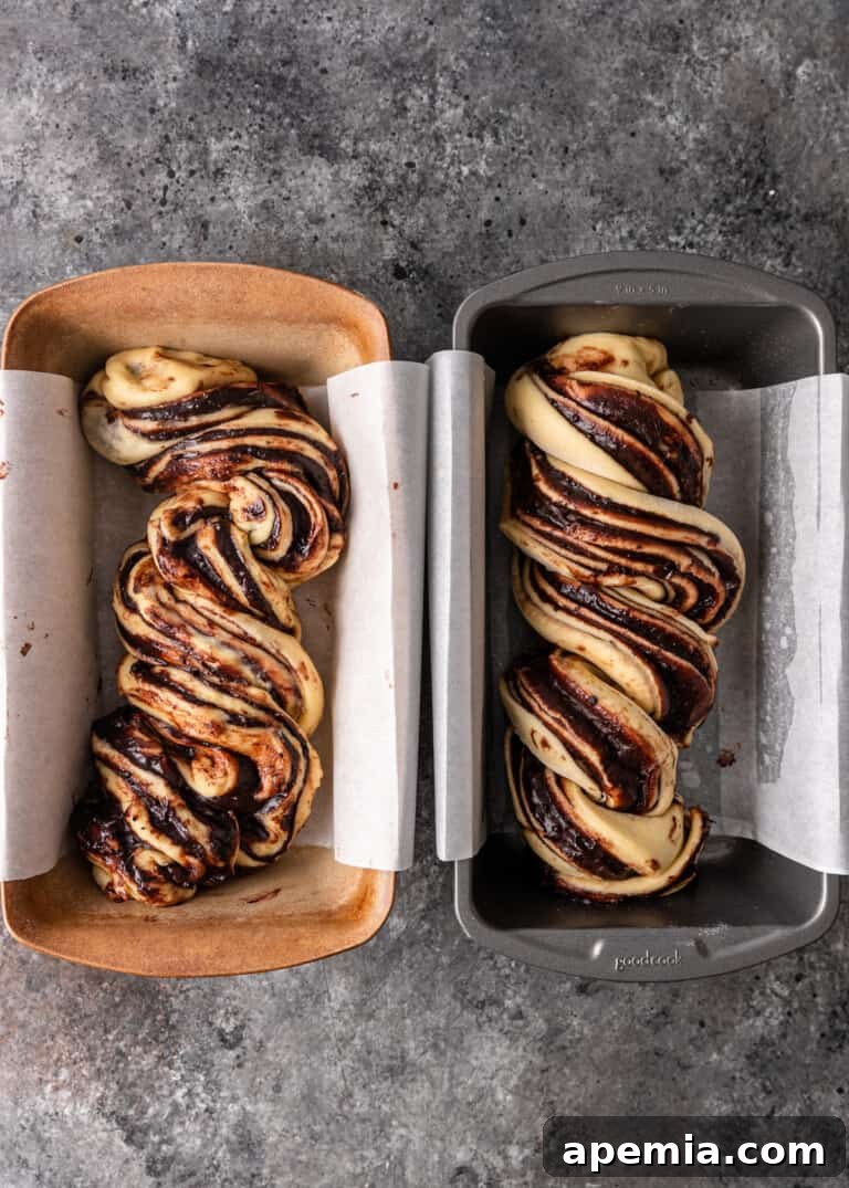 Overhead process shot: A twisted and braided chocolate babka dough, showcasing the distinct layers of chocolate and dough.