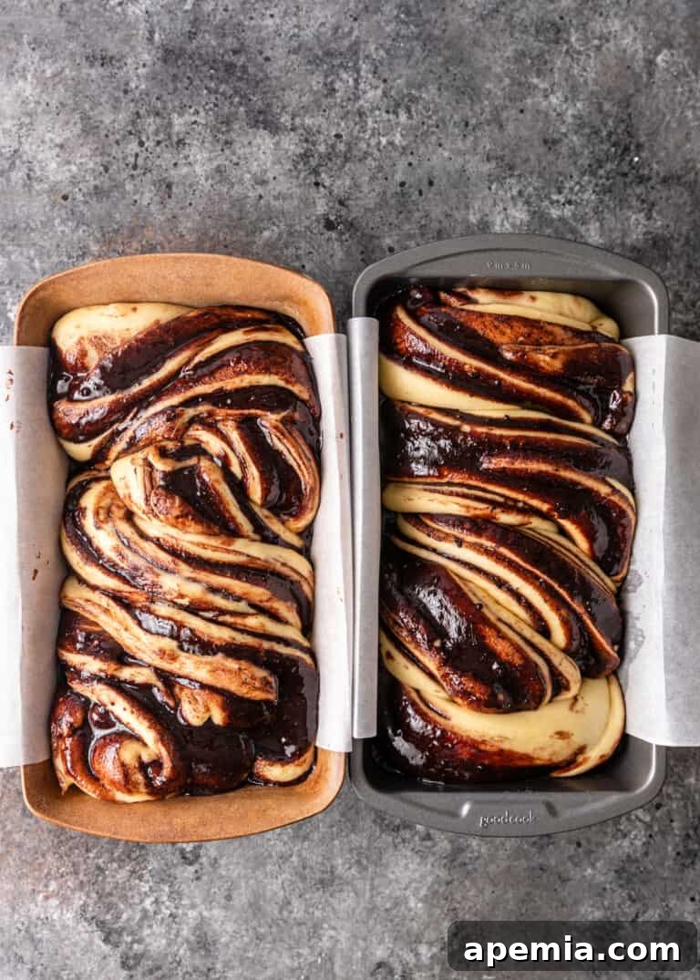 Overhead process shot: Chocolate babka dough after its second rise, visibly doubled in size and ready for baking.