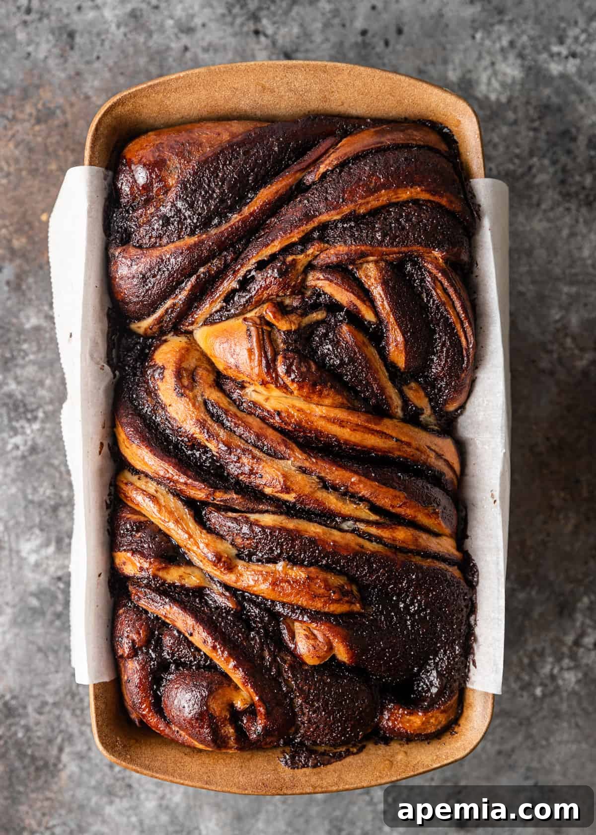 Overhead view of a freshly baked chocolate babka in a bread loaf pan, sitting on a counter, with a perfect golden-brown crust.