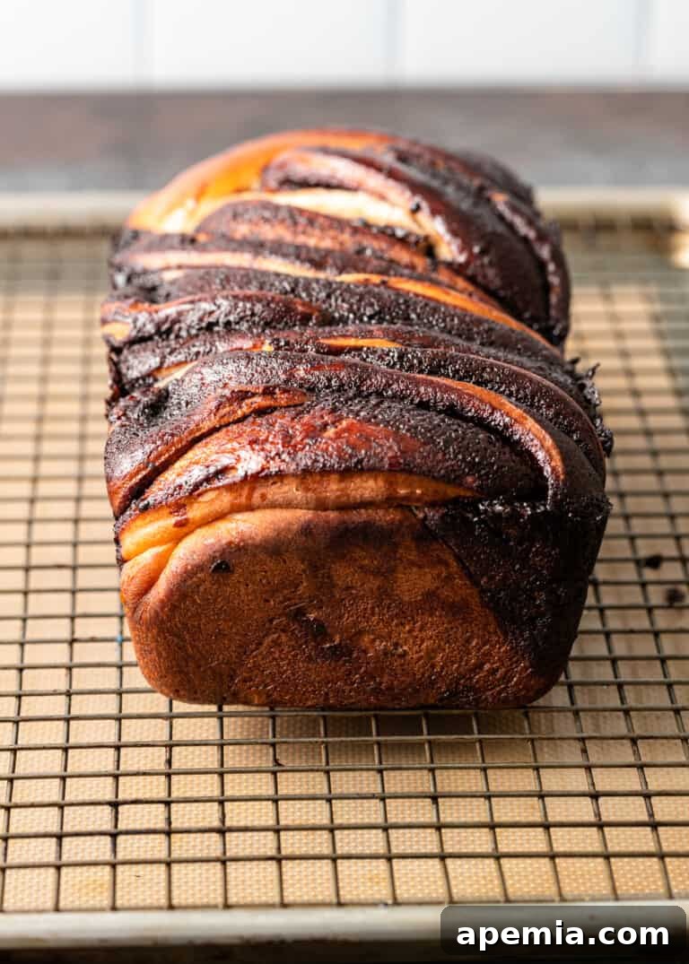 Overhead process shot: Freshly baked babka cooling on a wire rack set over a baking sheet.