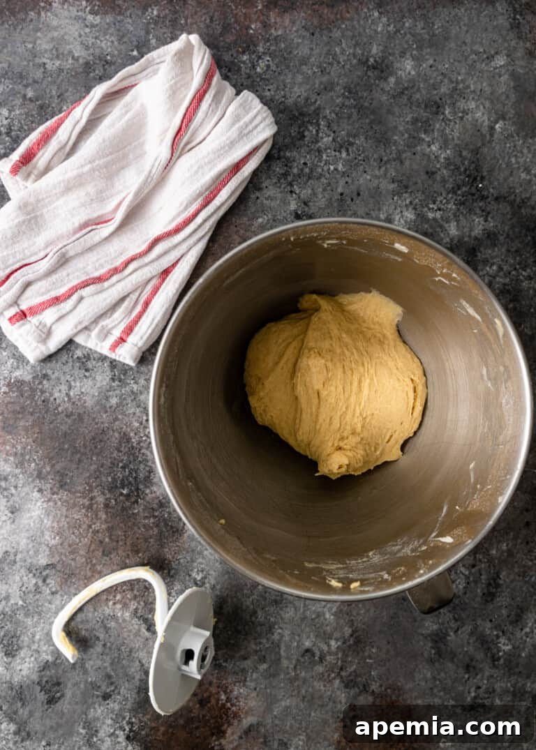 Overhead process shot: Babka dough mixing in a stand mixer with a dough hook, covered with a tea towel.