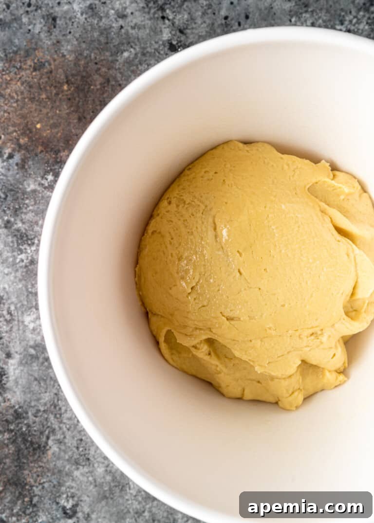 Overhead process shot: Prepared babka dough resting in a white bowl, covered, on a kitchen counter.