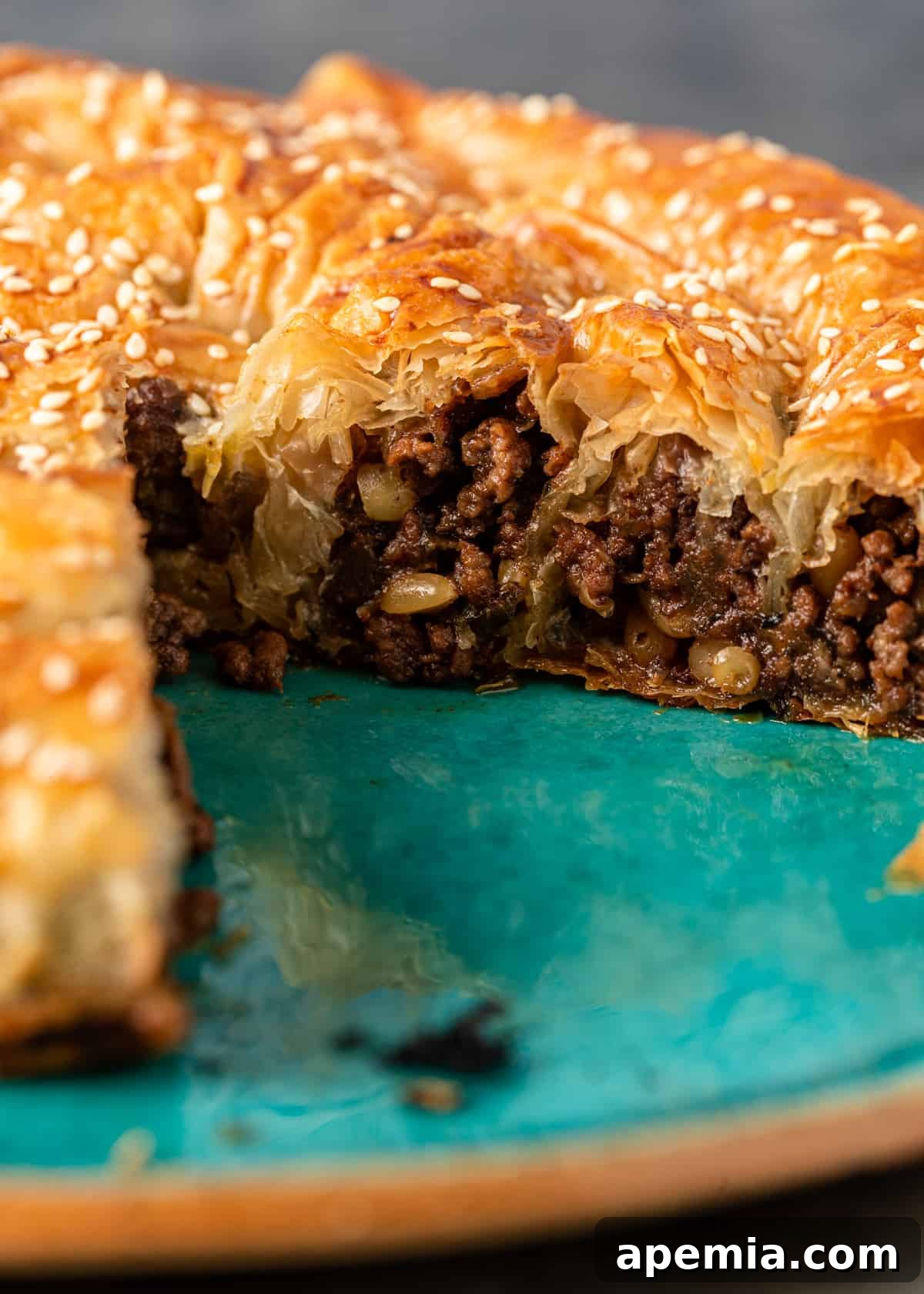 extreme closeup: meat filled byrek pastry with filling showing