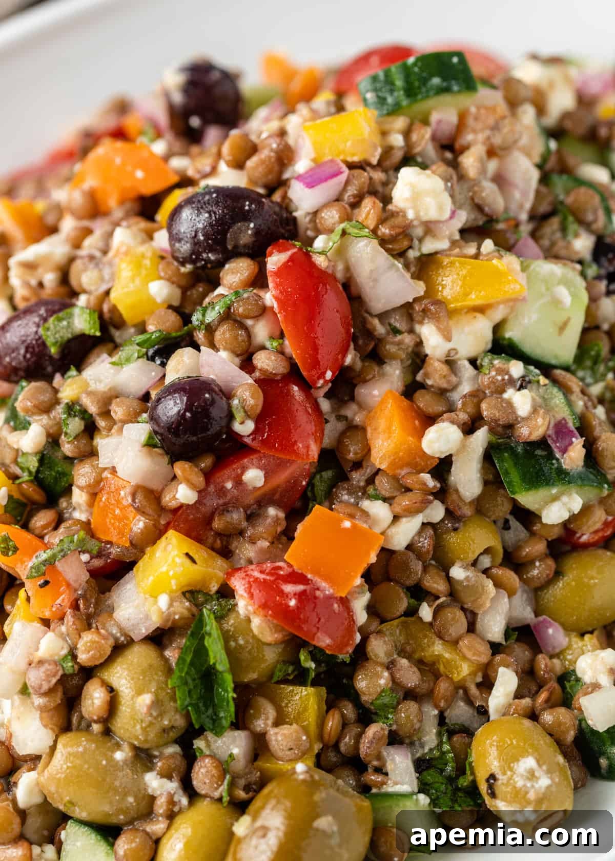 closeup: Greek Lentil Salad