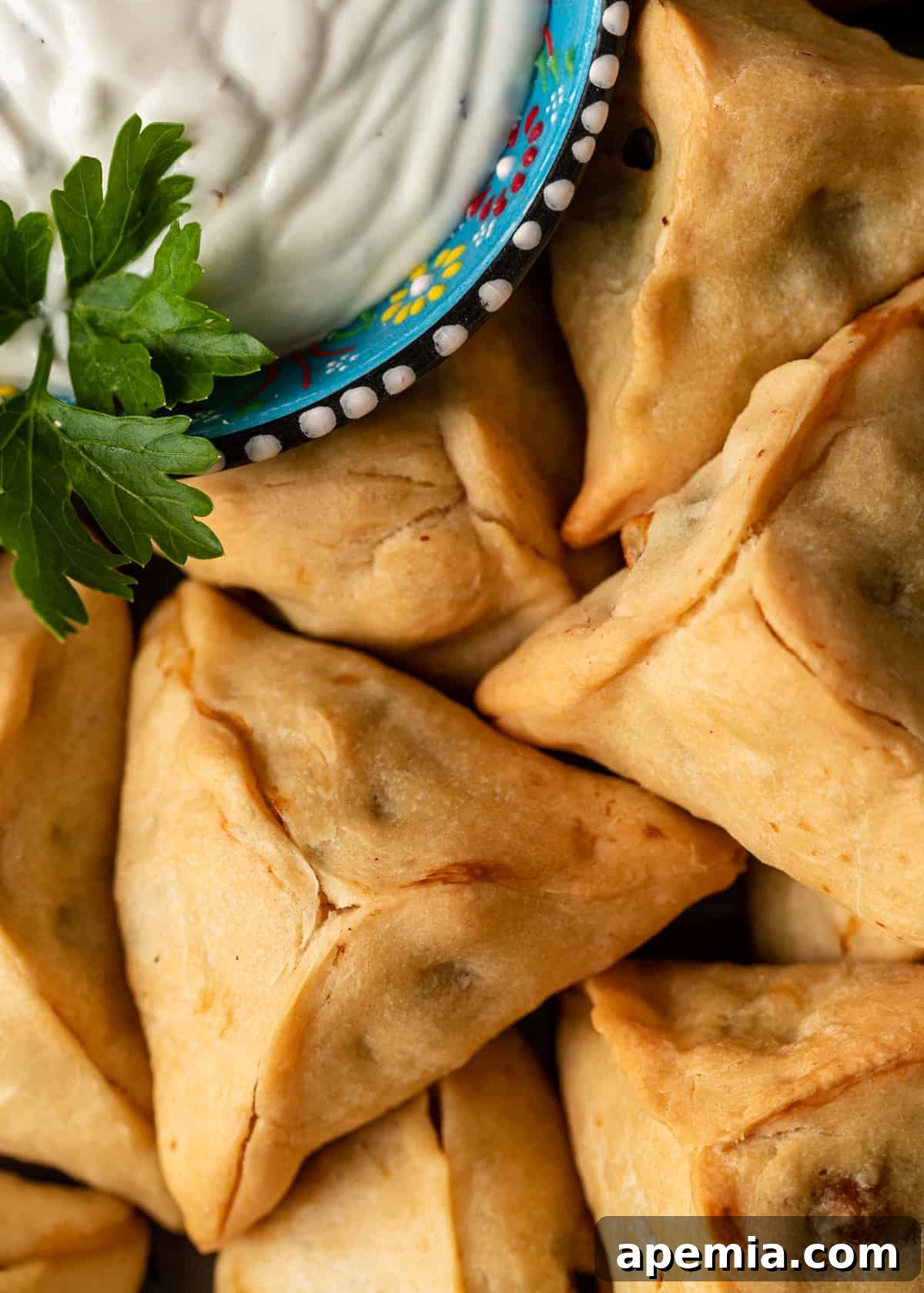 extreme closeup:  lebanese meat pies with dipping sauce