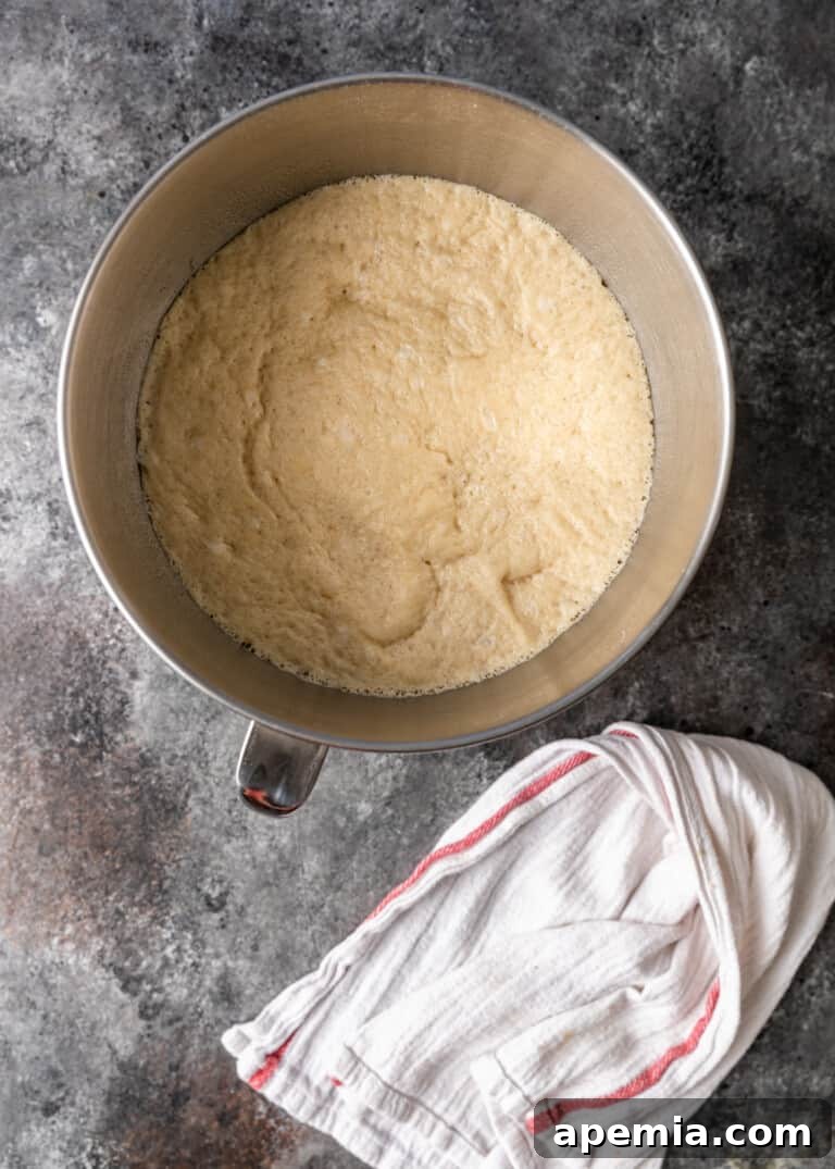 overhead process shot: dough in metal bowl