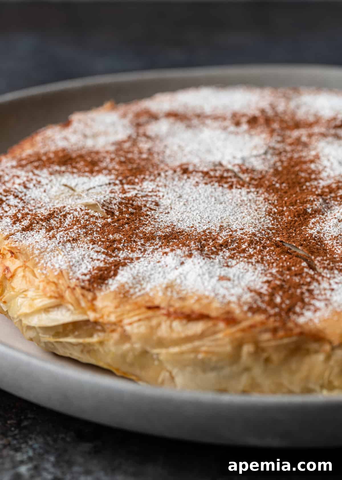 A close-up of the Moroccan Pastilla, elegantly topped with a decorative pattern of powdered sugar and ground cinnamon, showcasing its festive appeal.