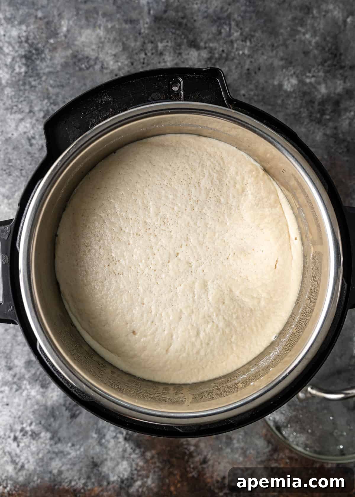 overhead: dosa batter in instant pot after fermenting