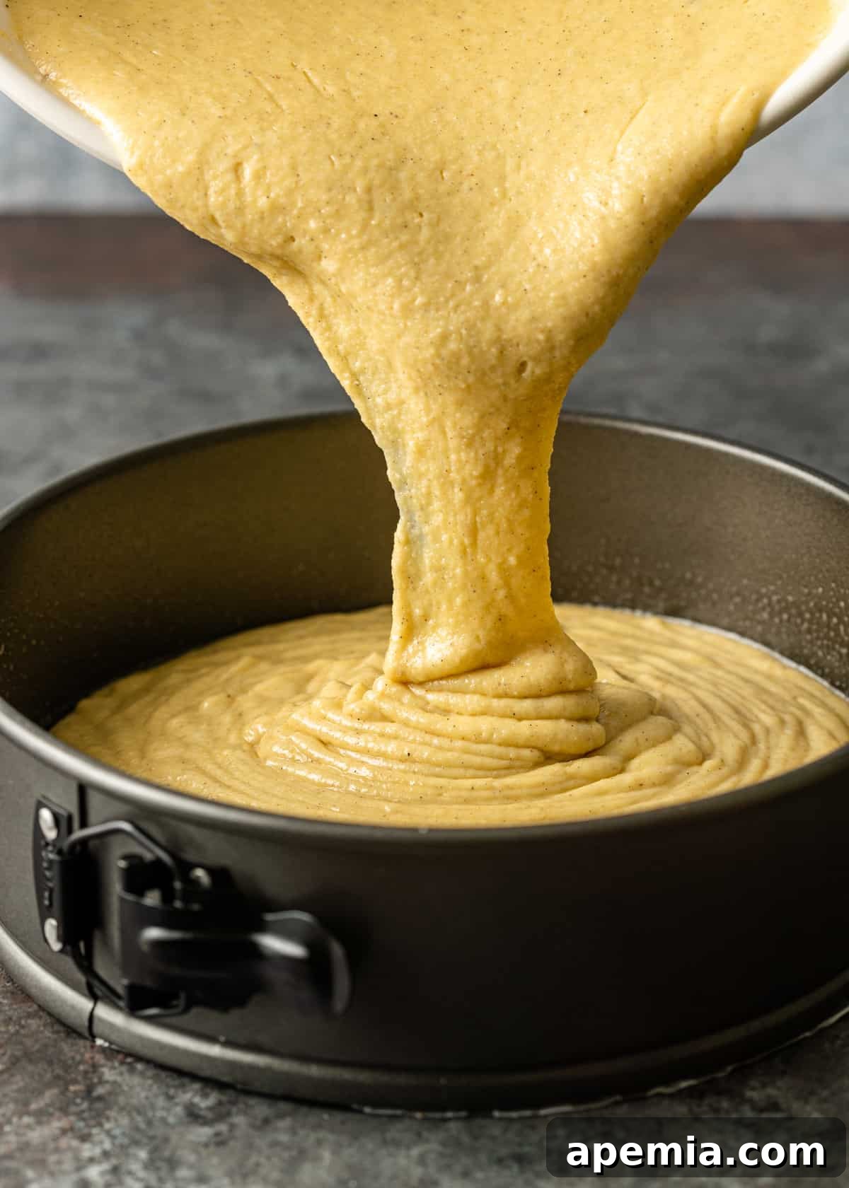 Side view process shot: carefully pouring the prepared cake batter into a round springform pan.