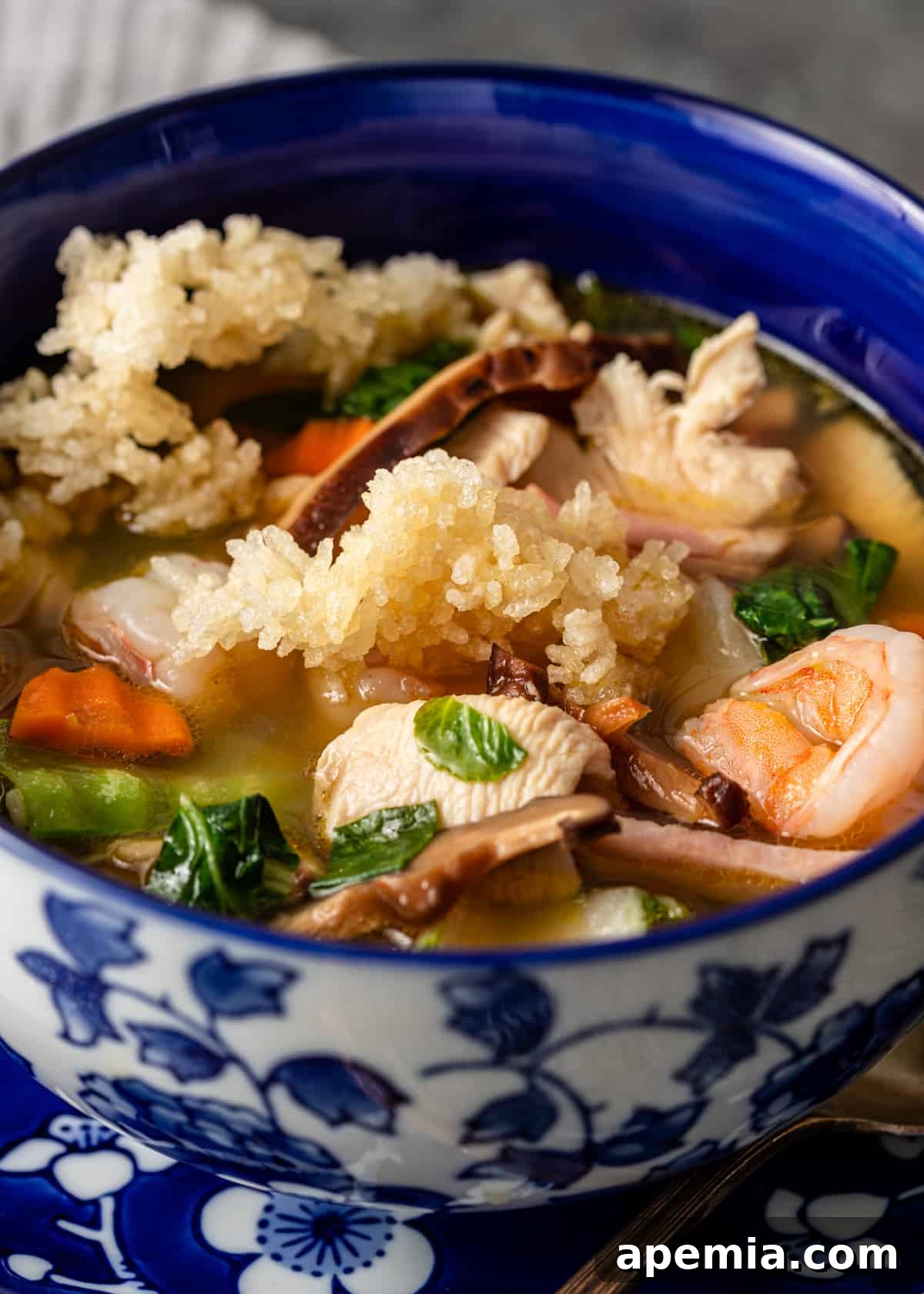 Close-up side view of a perfectly plated Sizzling Rice Soup, showcasing its rich broth, tender ingredients, and crispy rice, ready to be enjoyed