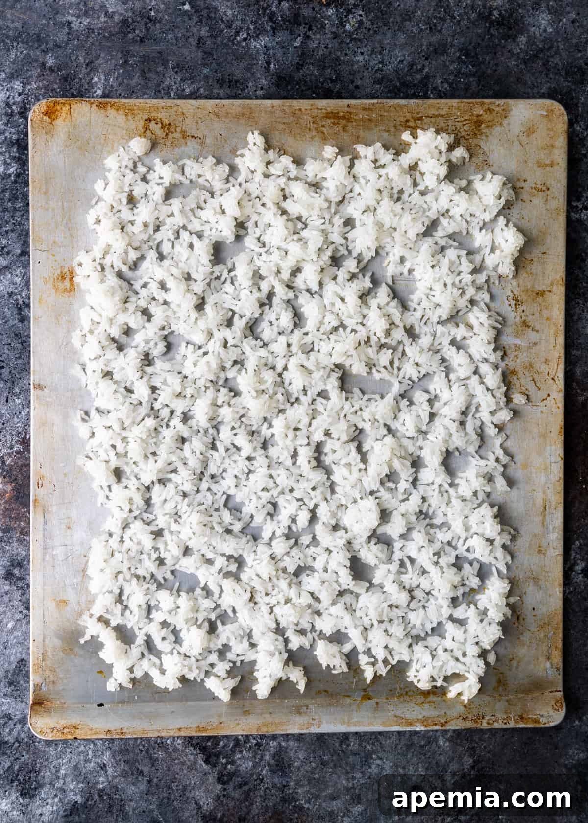 Overhead view of cooked rice spread on a tray, drying overnight for perfect crispiness in sizzling rice soup