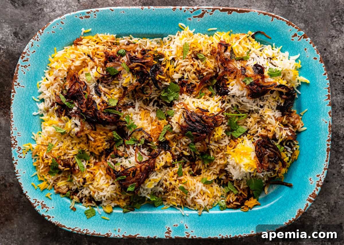 overhead: blue platter of chicken biryani