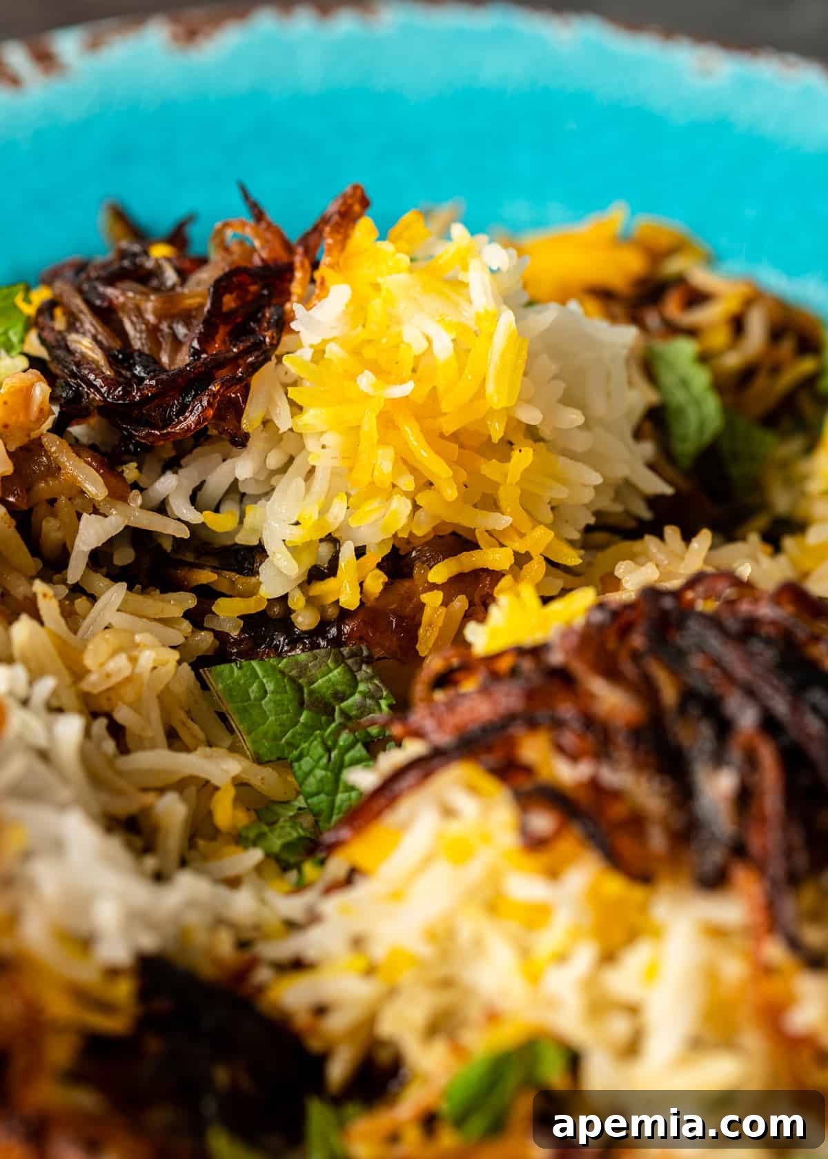 extreme closeup: my chicken biryani recipe with rice and onions