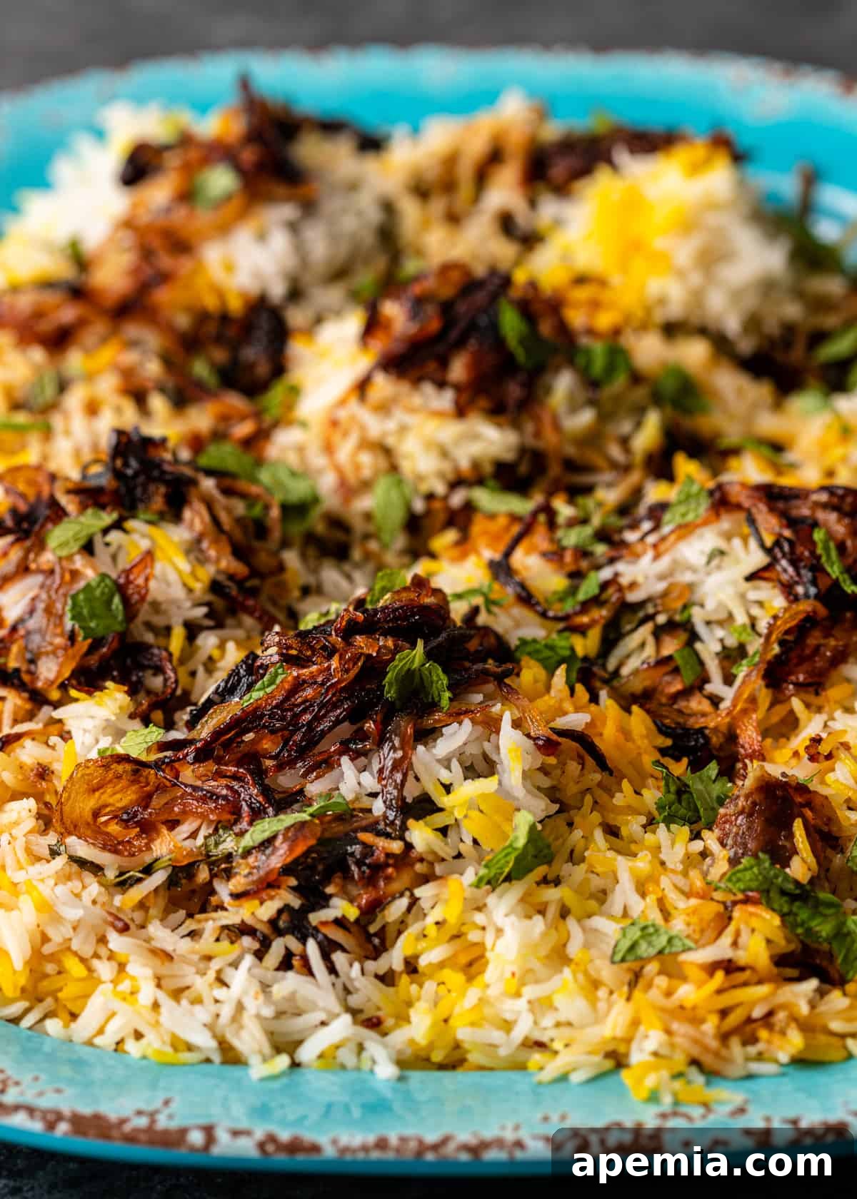 closeup: my chicken biryani recipe with rice and fried onions