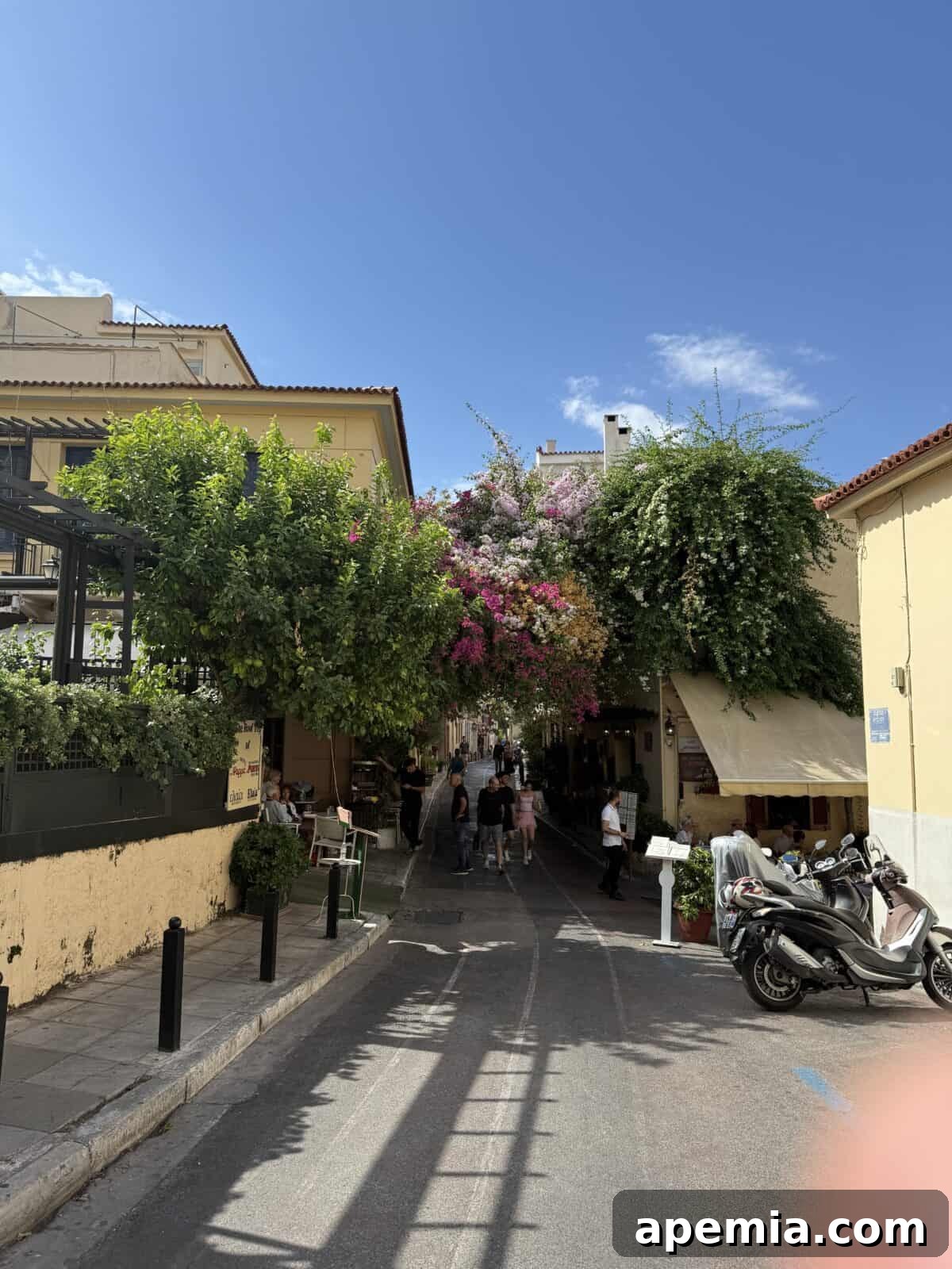 Vibrant bougainvillea flowers in full bloom in front of a traditional Greek taverna, creating a picturesque scene.