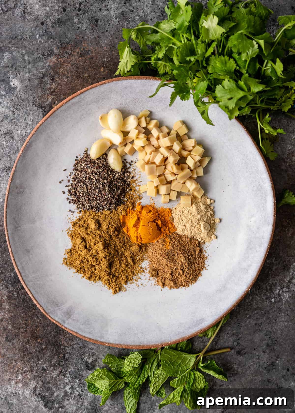 overhead process: spice paste ingredients on white plate