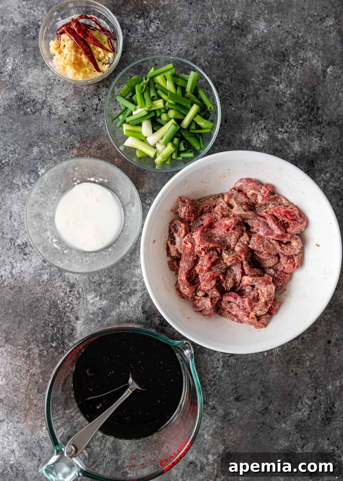 overhead: ingredients to make mongolian beef recipe