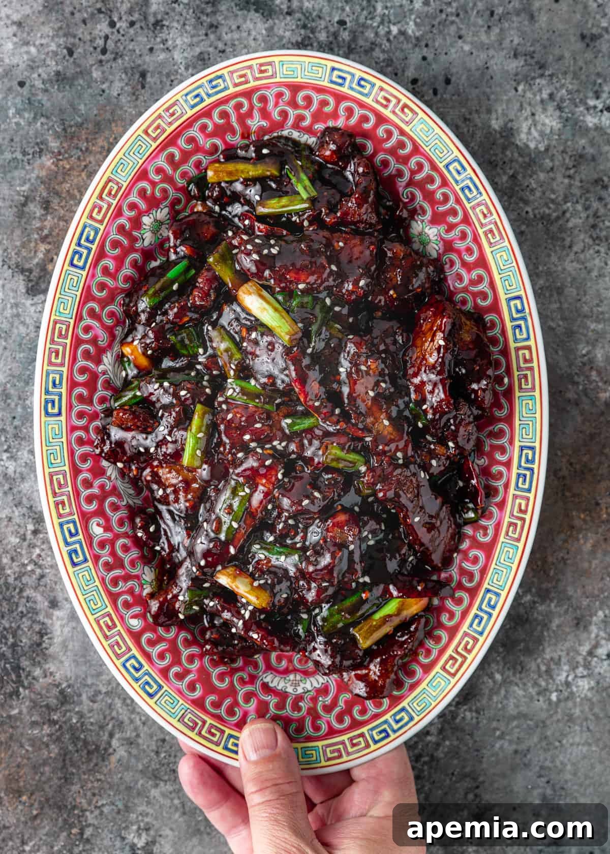overhead: colorful plate with mongolian beef