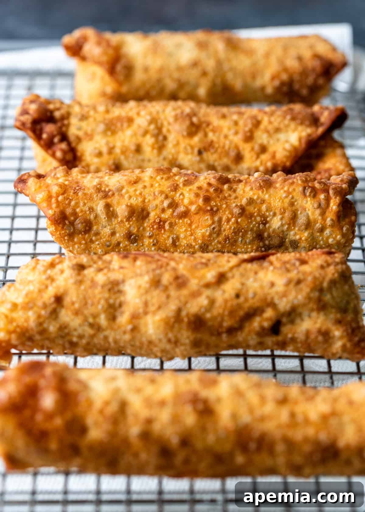 Perfectly Crispy Egg Rolls 9 closeup side view: crispy egg rolls on cooling rack