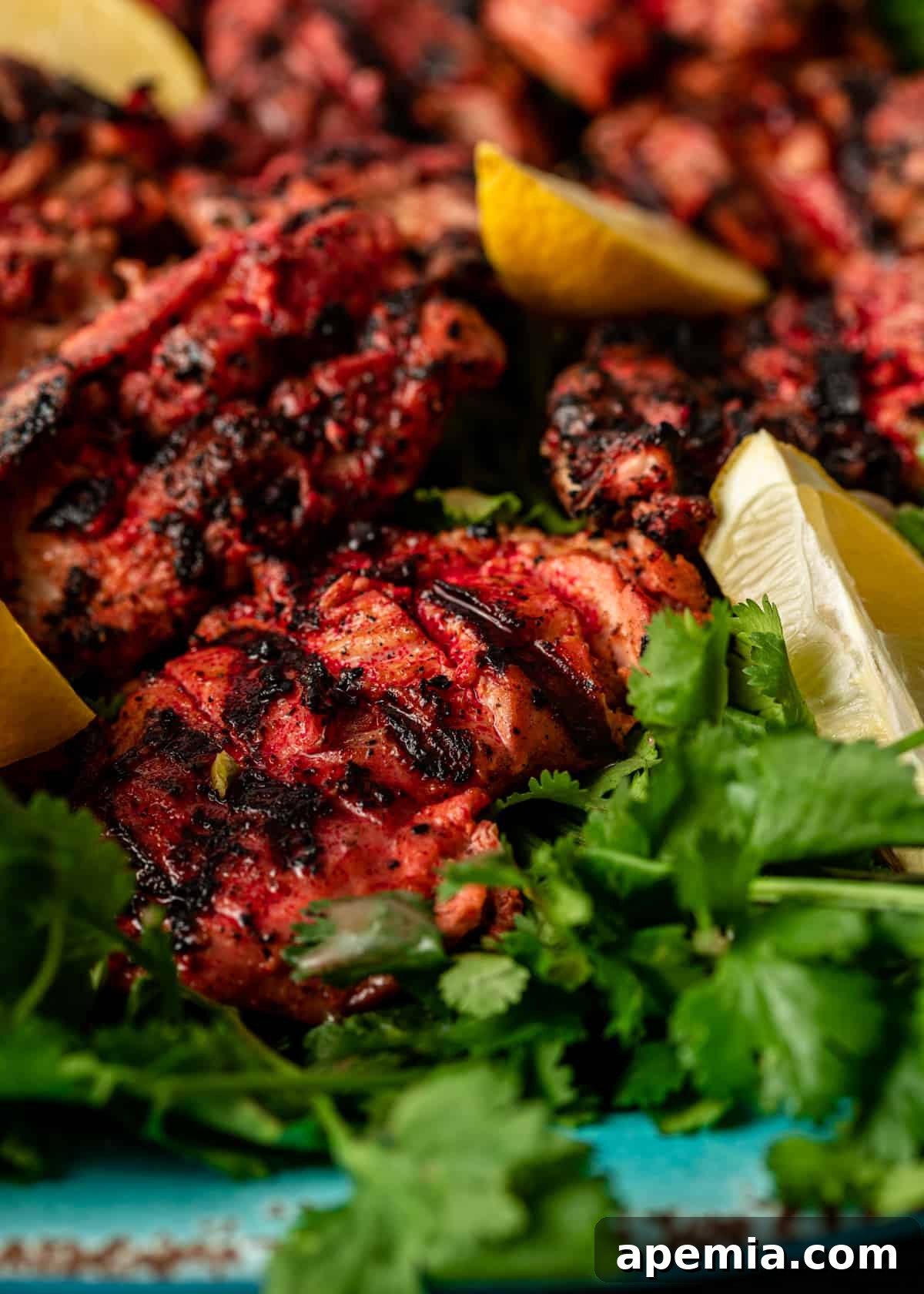 Tandoori Chicken displayed beautifully on a white platter, ready to serve