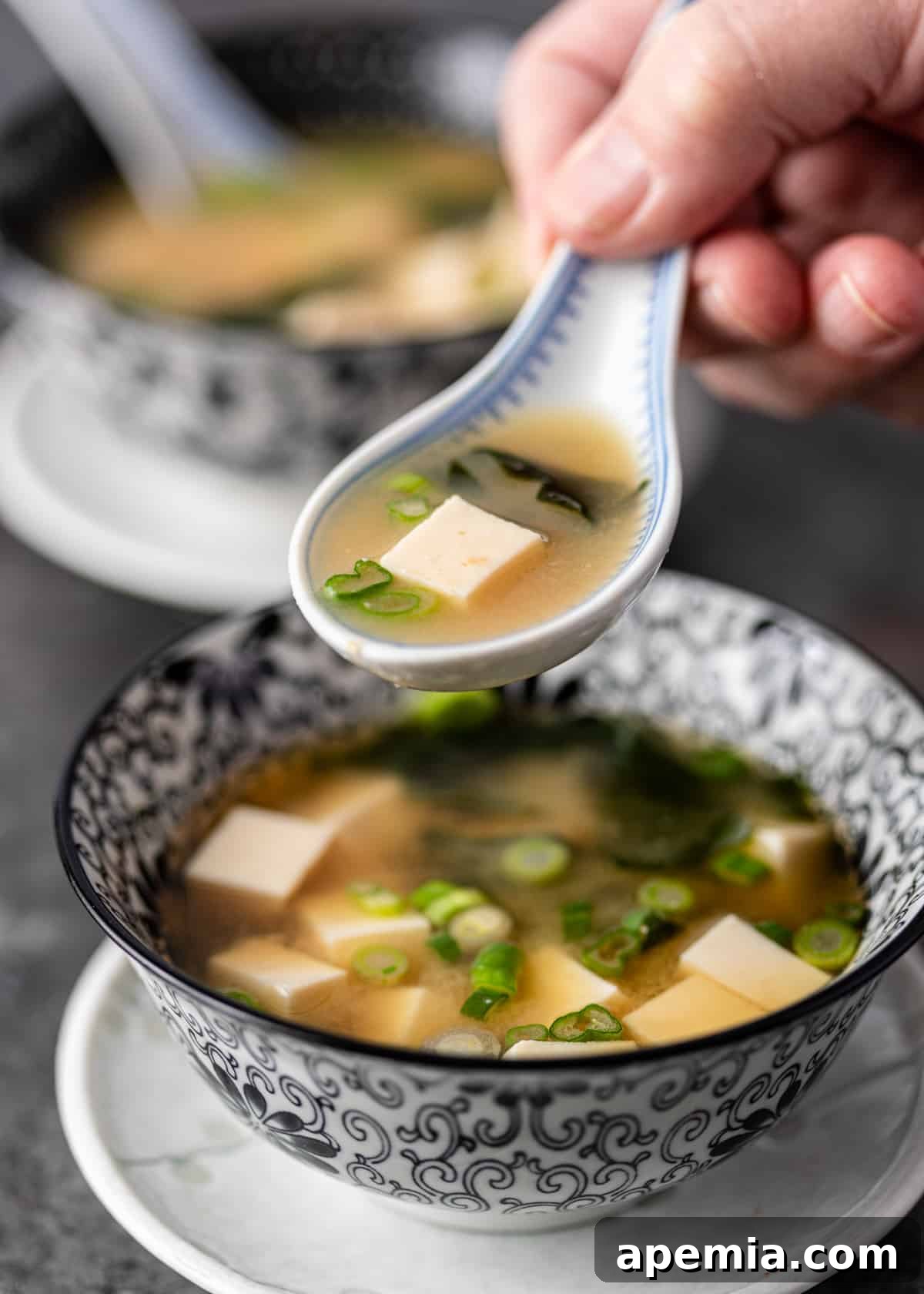 Simple Japanese Miso Soup 9 spoon with miso soup