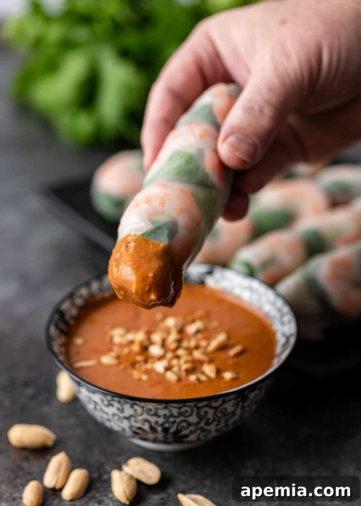 A hand dipping a fresh spring roll into a bowl of peanut sauce, illustrating a popular serving suggestion.