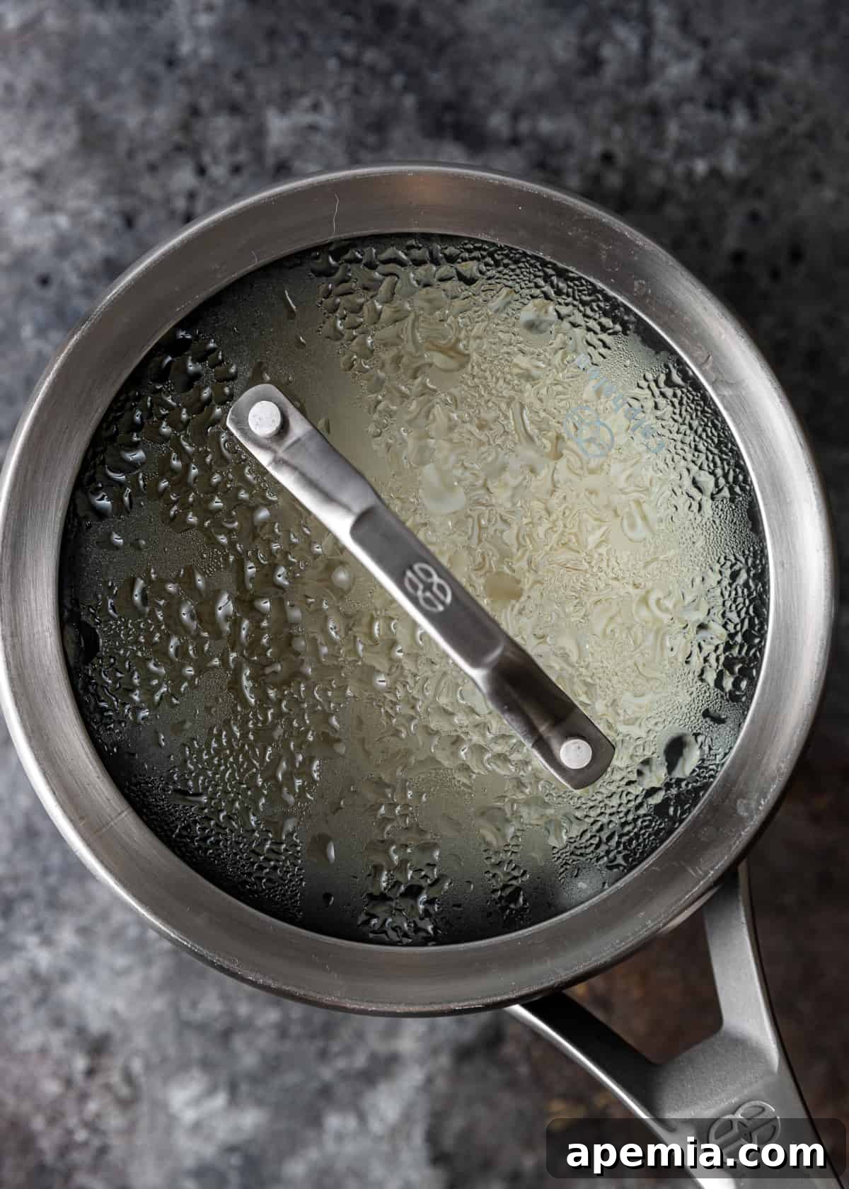 pan with a lid 