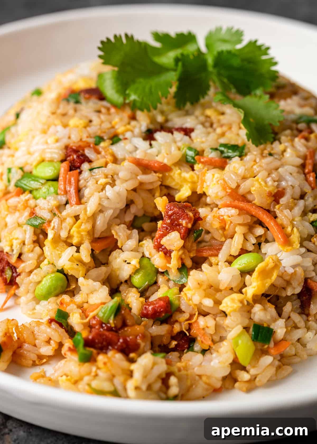hibachi fried rice 
