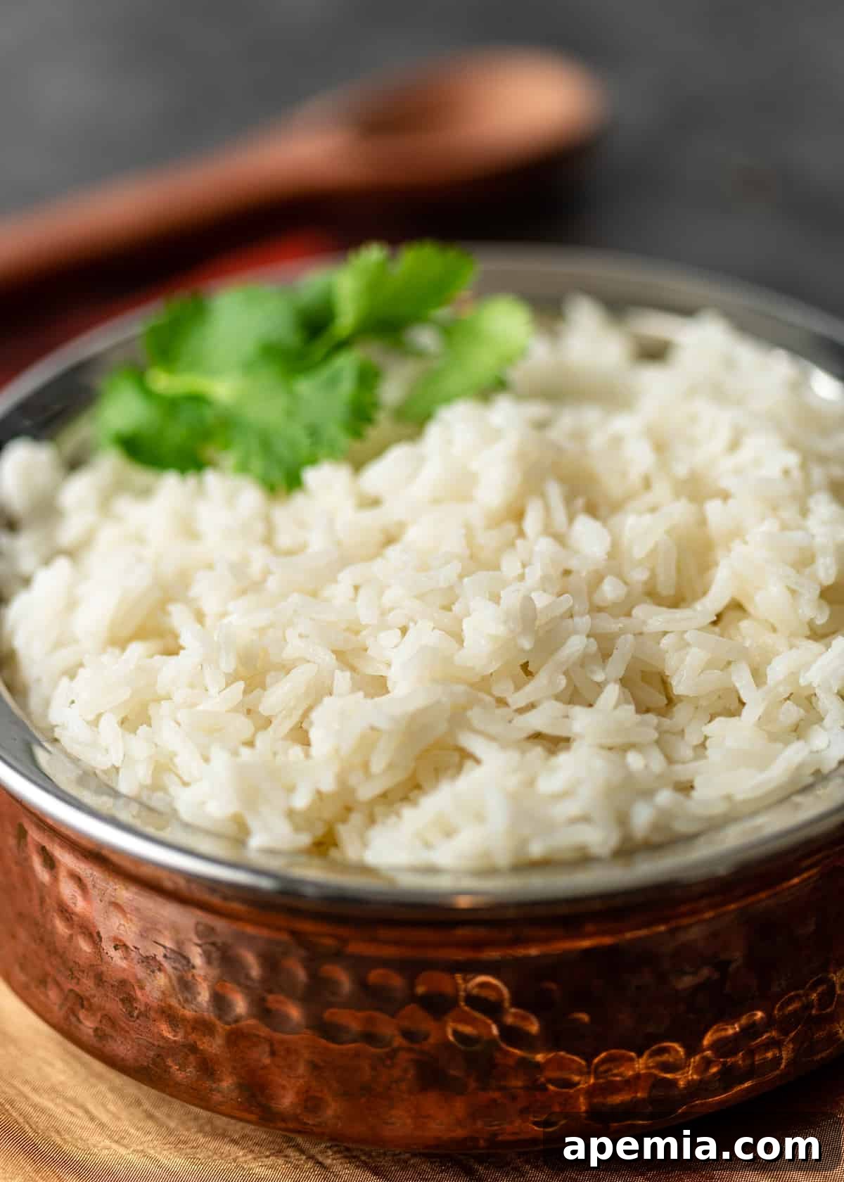 A rustic copper bowl filled with warm, fluffy jasmine rice, its delicate grains gleaming under soft light, ready for a comforting meal.