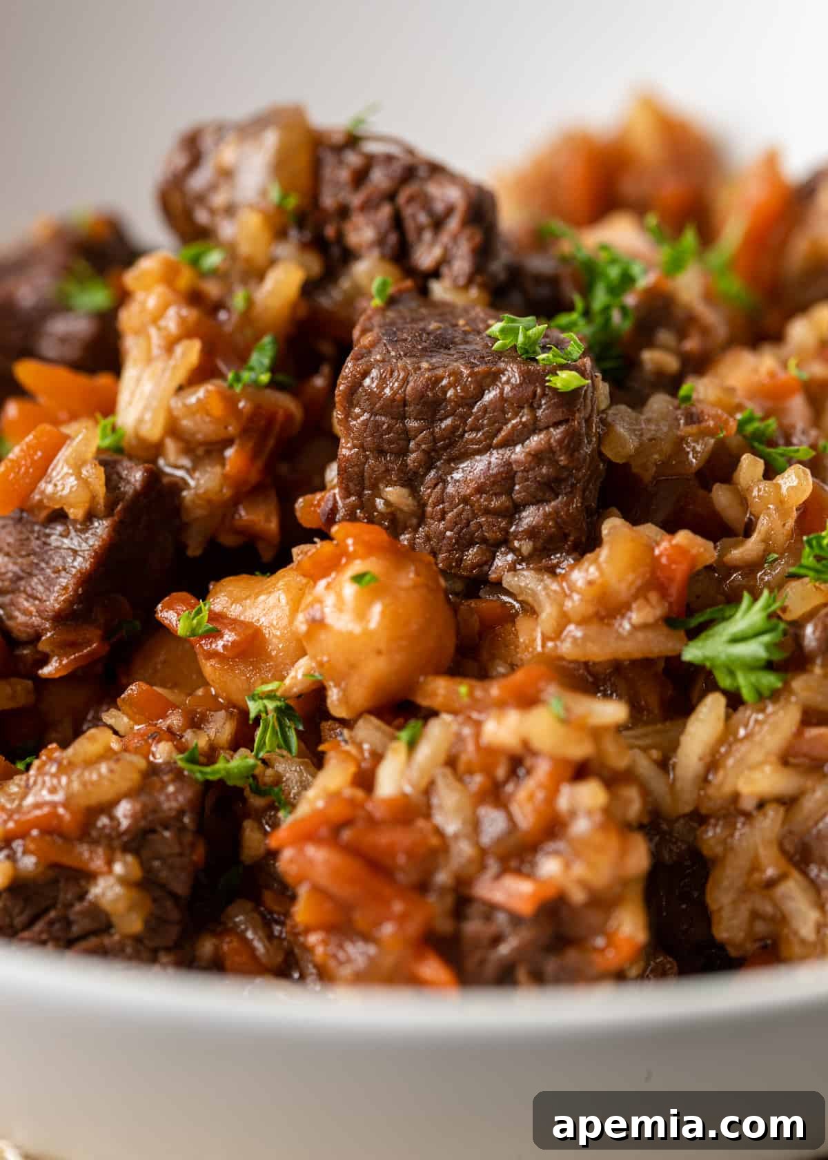 A hearty and comforting serving of Beef Plov, a delicious beef and rice pilaf dish, garnished and ready to be enjoyed.