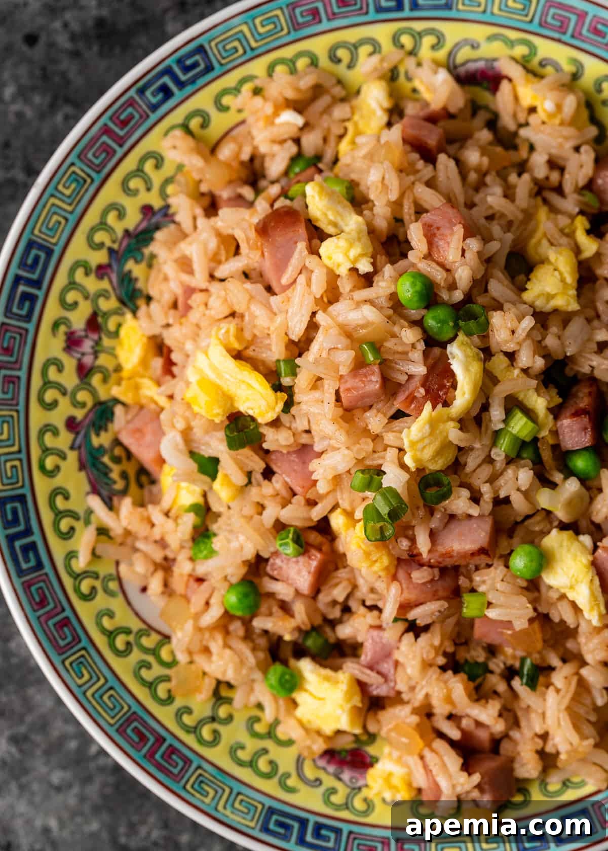 Close-up overhead shot of beautifully arranged pork fried rice, garnished with fresh green onions and ready to serve.