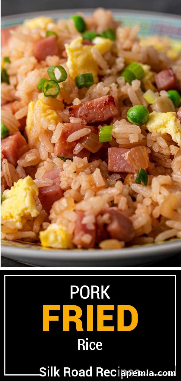 Titled image showing a beautifully presented bowl of pork fried rice, garnished with fresh green onions.