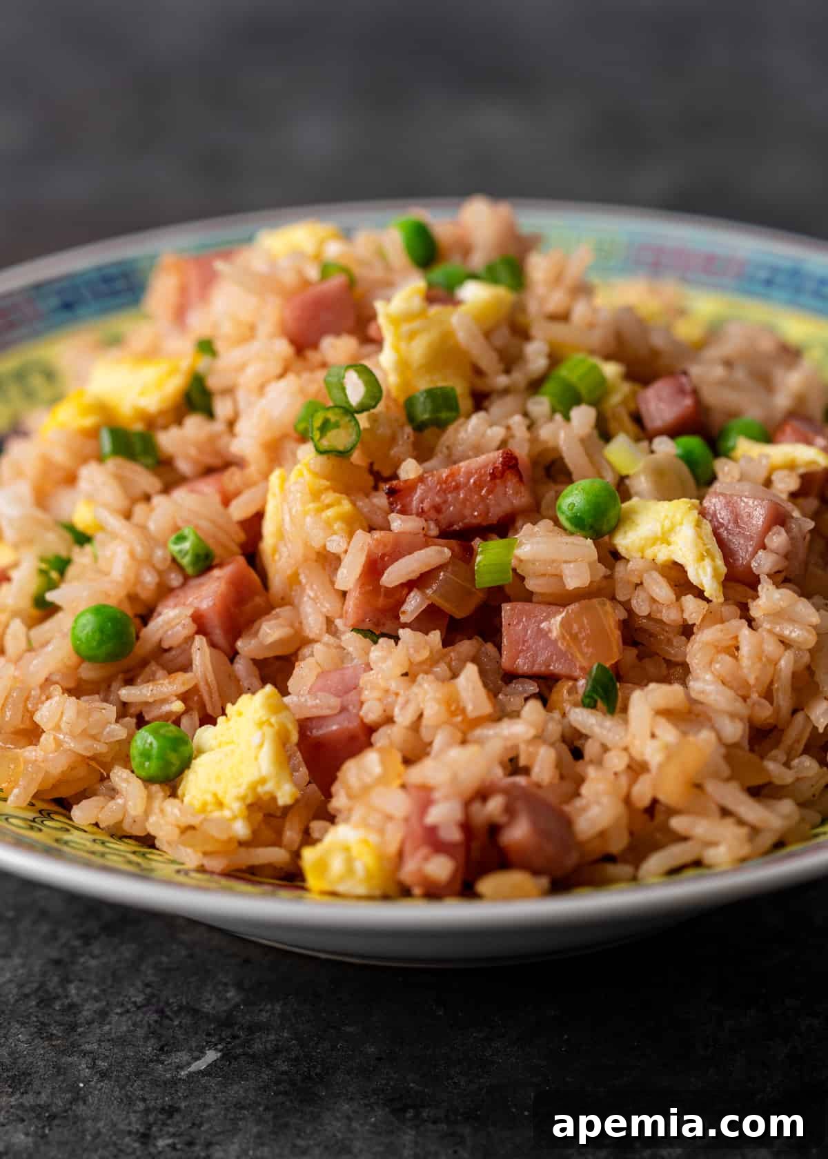 Close-up view of a bowl of pork fried rice, showcasing the vibrant colors and textures of the ingredients.